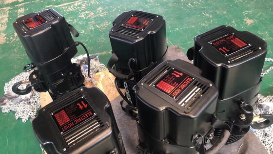 380V Electric Chain Hoist with 6m and 10m Chain Length and 220V-690V Power Supply